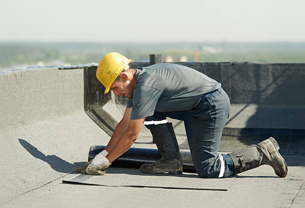 Best Energy Efficiency Solutions in Eustace, TX
