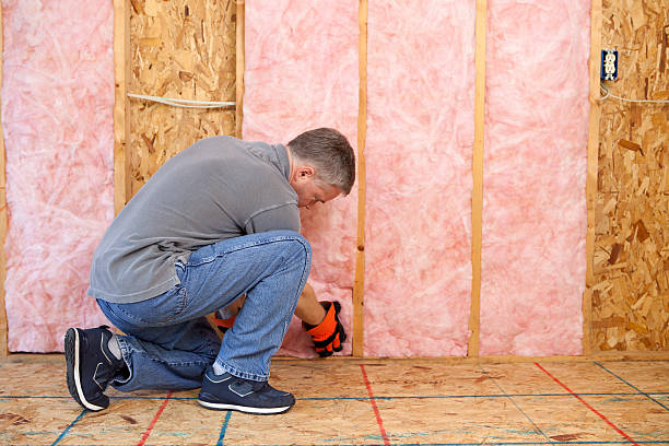 Best Types of Insulation in Eustace, TX
