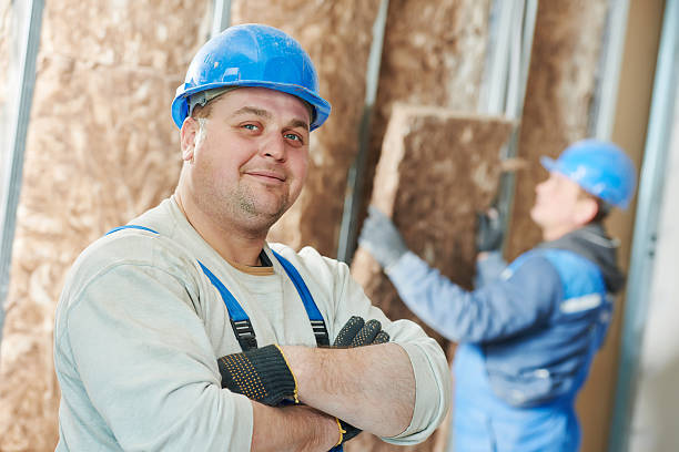 Best Insulation Maintenance and Repair in Eustace, TX